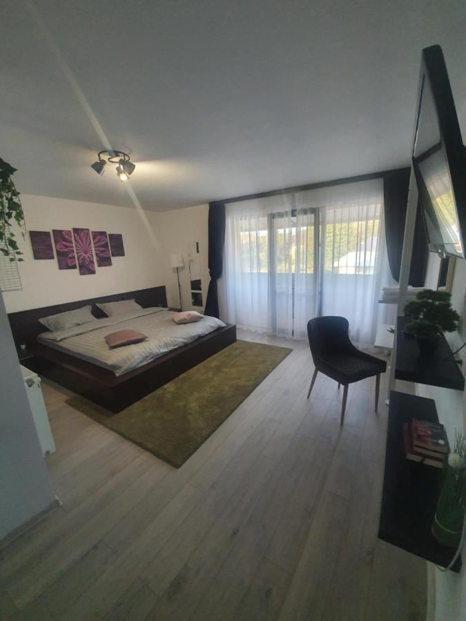 Pensiunea Relax Куртя-де-Арджеш Екстер'єр фото